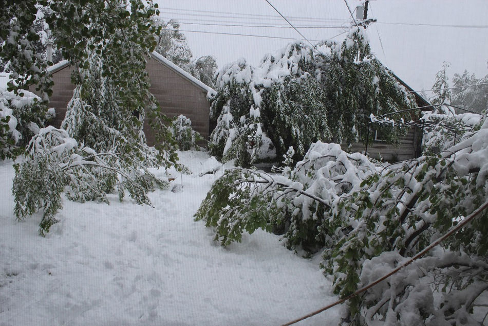springsnow1.jpg